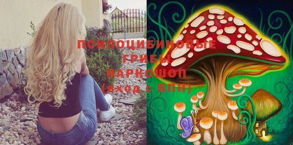 mdpv Касимов